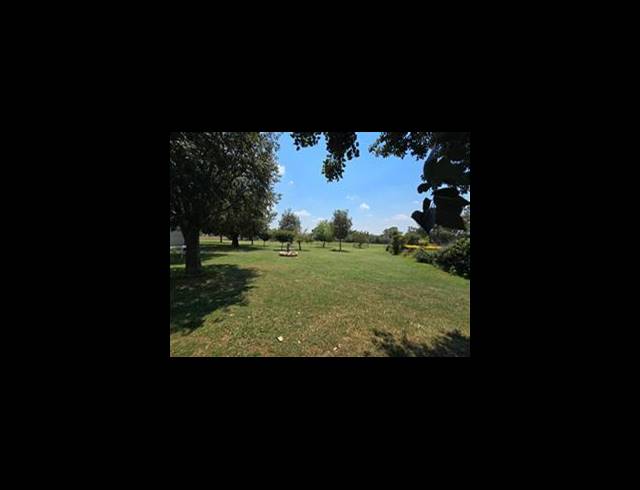 FARM FOR SALE IN TEDDERFIELD